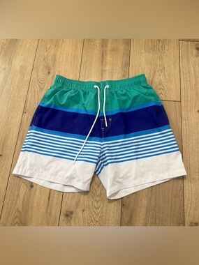 Men's Teal, Navy & White Striped Swim Trunks